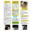 80-nu-tram-nguyen-chat.webp